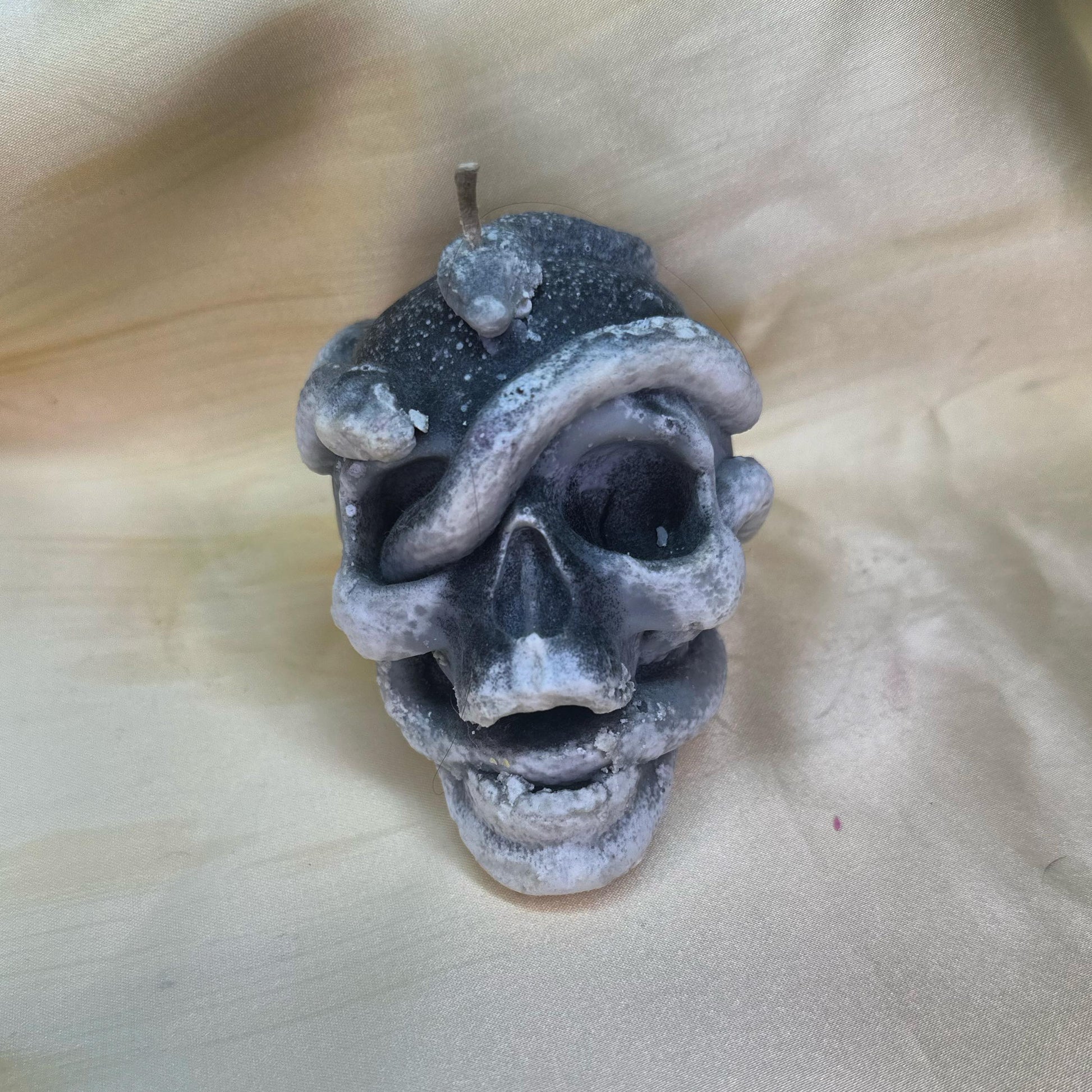 Tete de mort avec serpent