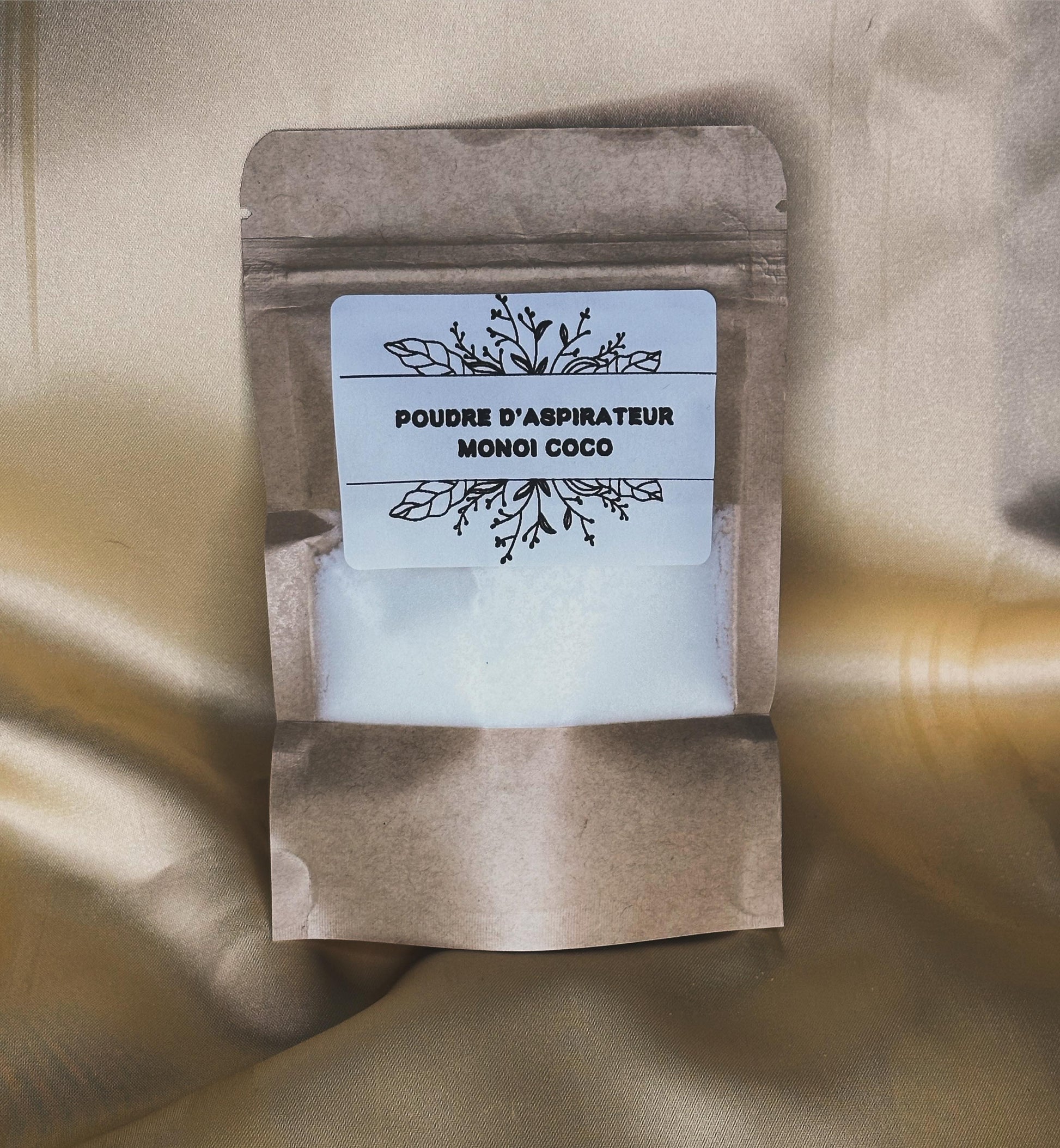 POUDRE D'ASPIRATEUR