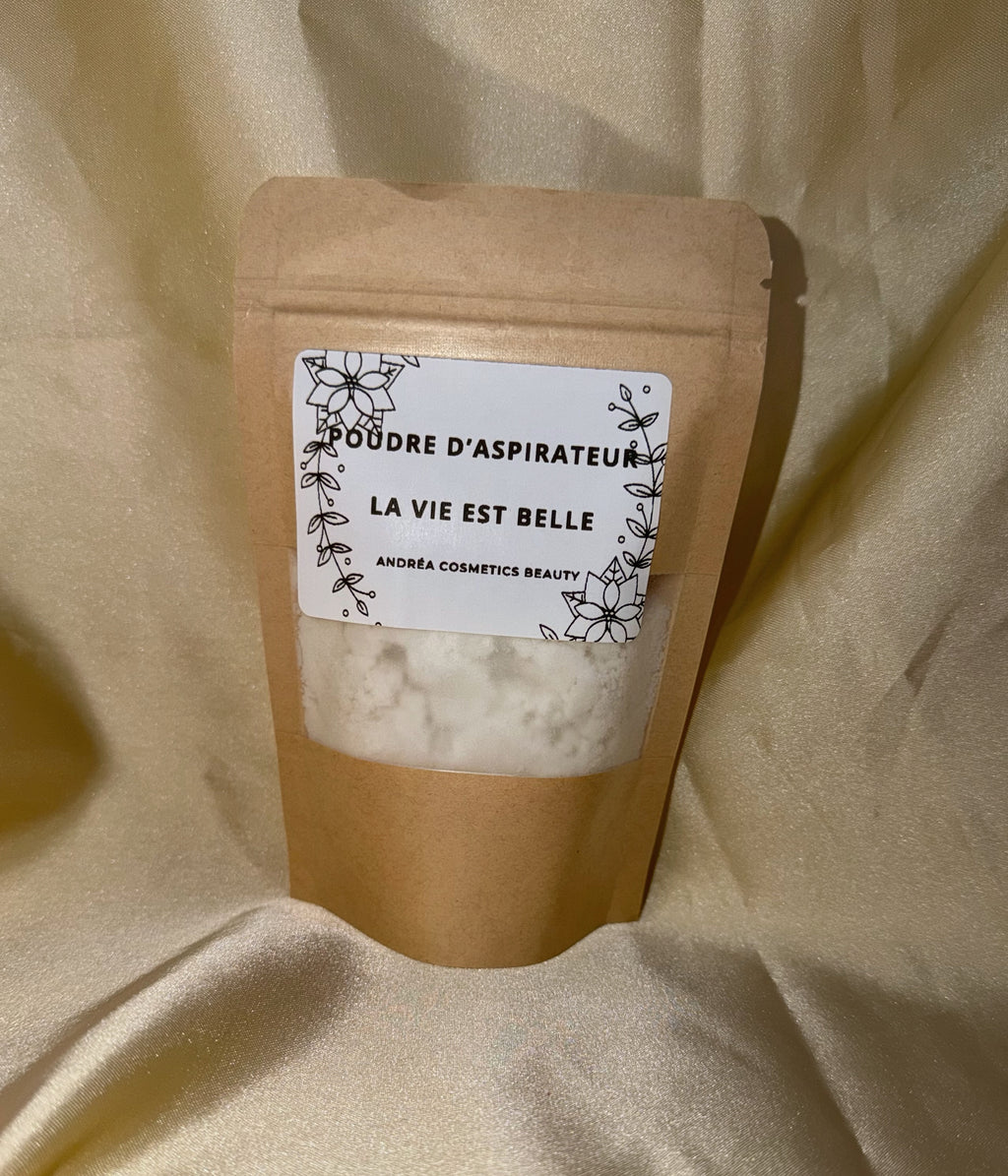 POUDRE D'ASPIRATEUR